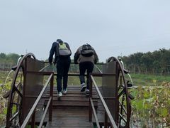 -武汉紫薇都市田园