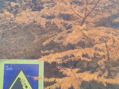 -东白山