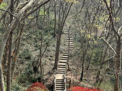 -南京市江宁方山