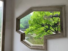 -杭州植物园