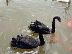 -鄱阳湖国家湿地公园