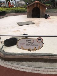 -造物庄园 萌宠纪(苏州湾歌林公园店)
