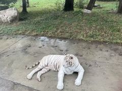 -西安秦岭野生动物园