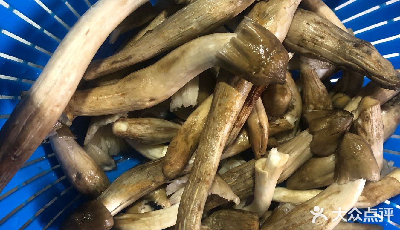可遇不可求的荔枝菌鲮鱼滑鲜菌汤