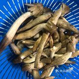 可遇不可求的荔枝菌鲮鱼滑鲜菌汤
