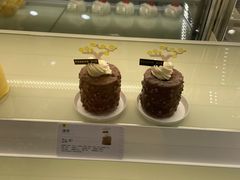 -蒲公英(五里店)