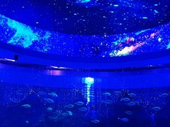 -海合安青岛极地海洋公园