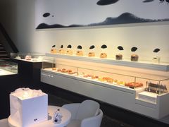 -BLACKSWAN黑天鹅(环球店)