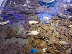-澜悦港海鲜体验主题餐厅