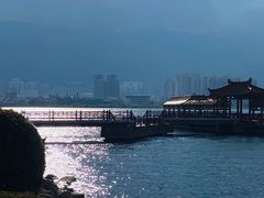 -洱海月湿地公园
