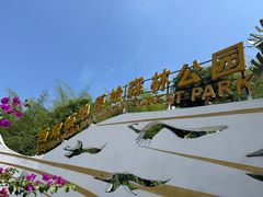 -西双版纳原始森林公园