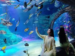 -沈阳海洋探索中心