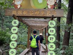 -大岭沟猕猴桃谷风景区