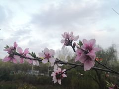 -SAH健身私教工作室(紫东店)