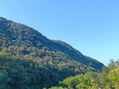 -兰亭风景区