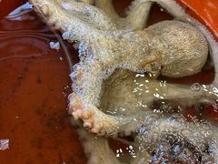 -西天尾扁食卤肉(湄洲农贸市场店)