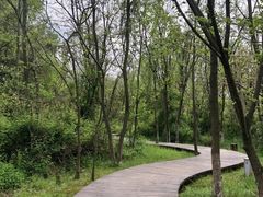 -盘龙城国家考古遗址公园