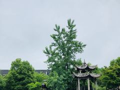 -杏花村文化旅游区