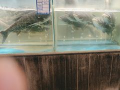 -丹江渔村(首都机场店)