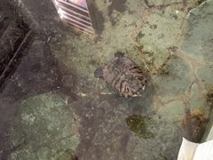 -不止轰趴独栋别墅户外烧烤(颐西庄园店)