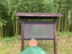 -黄海国家森林公园