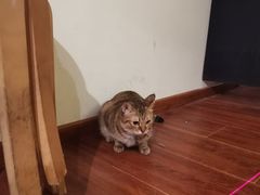 -H立方实景剧情密室(天河旗舰店)