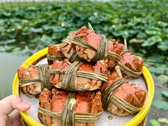 -七的湖·晚芳亭·阳澄湖农家菜·大闸蟹(莲花岛店)
