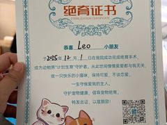 -美联众合动物医院·24h京西诊疗中心