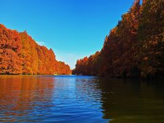 -上海海湾国家森林公园