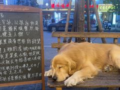 -南门绿玉农贸市场