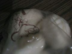 -老台门汤包(万达总店)