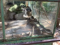 -广东茂名森林公园