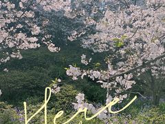 -苏州上方山国家森林公园
