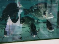 -原龙海鲜大排档(美食地标店)