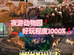 -大连森林动物园