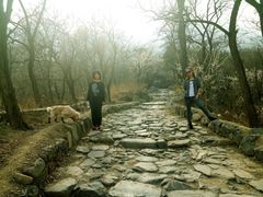 -阳台山自然风景区