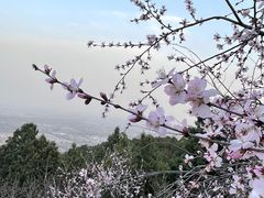 -北京西山国家森林公园