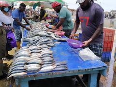 -尼甘布海鲜市场