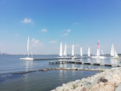 -南汇嘴观海公园