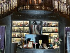 -雪灵魔法世界SHELLY’S TAROT(大良桂畔里店)