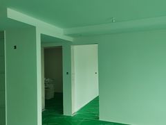 -大树装饰·十年本土家装