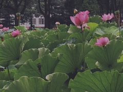 -四川大学(望江校区)