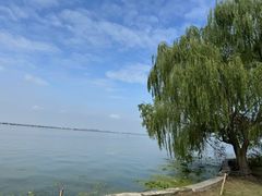 -阳澄湖半岛旅游度假区