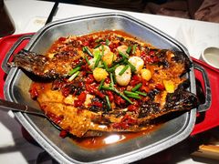 -马邦子·紫苏烤鱼(恒隆广场店)