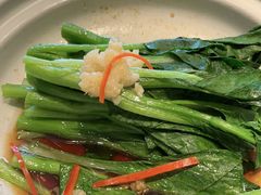 -同乐馆(阳光店)