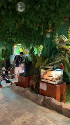 -酷嗒动物文化乐园(cutezoo西溪乐天城店)