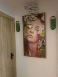 -薇薇安花系SPA