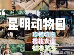 -昆明动物园