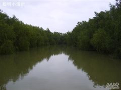 -大湾区中央湿地公园