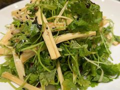 -懂羊帝·羊蝎子·北京菜(小关店)
